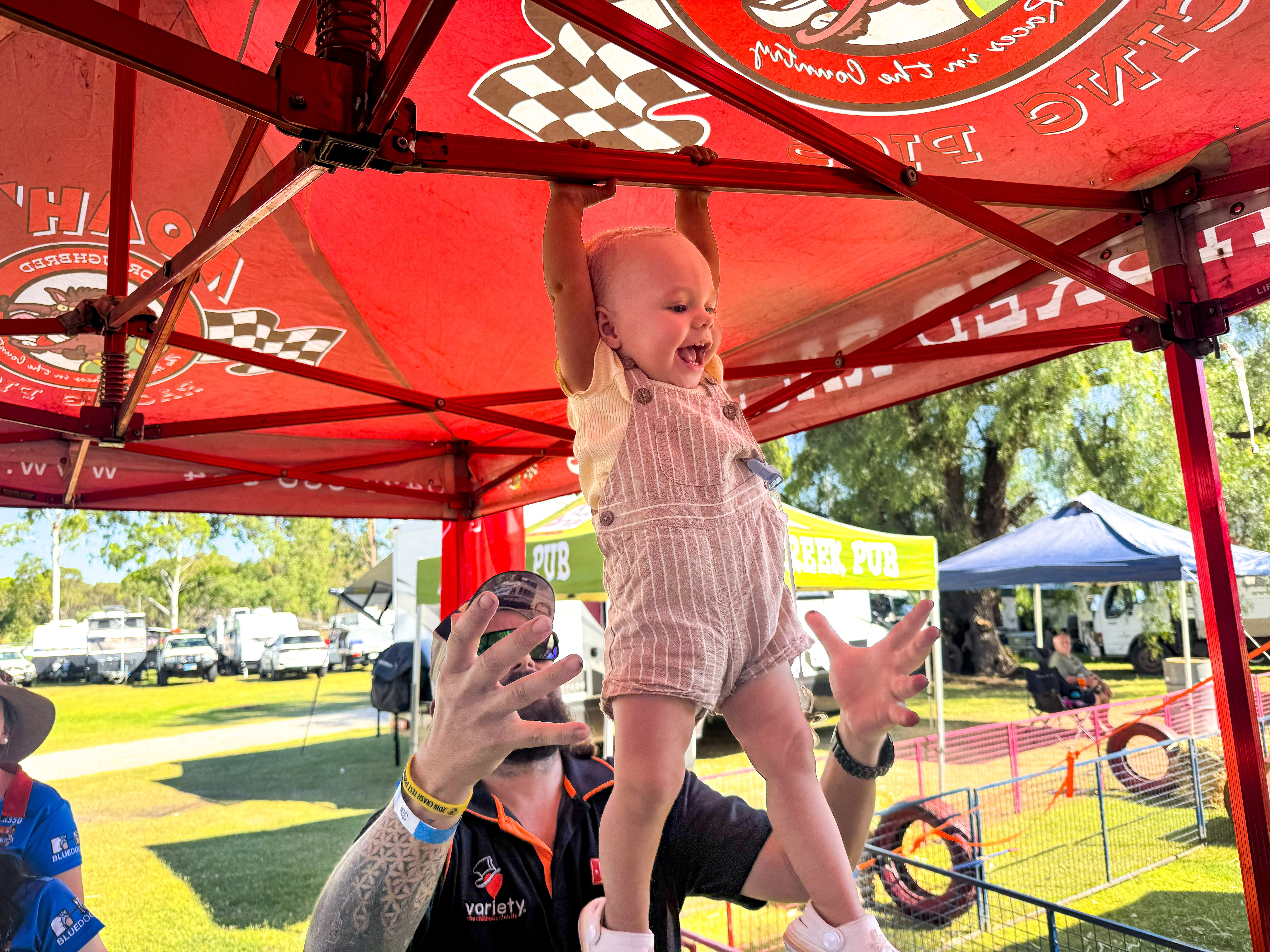 BLUE DOG TRAINING PIG RACING 1