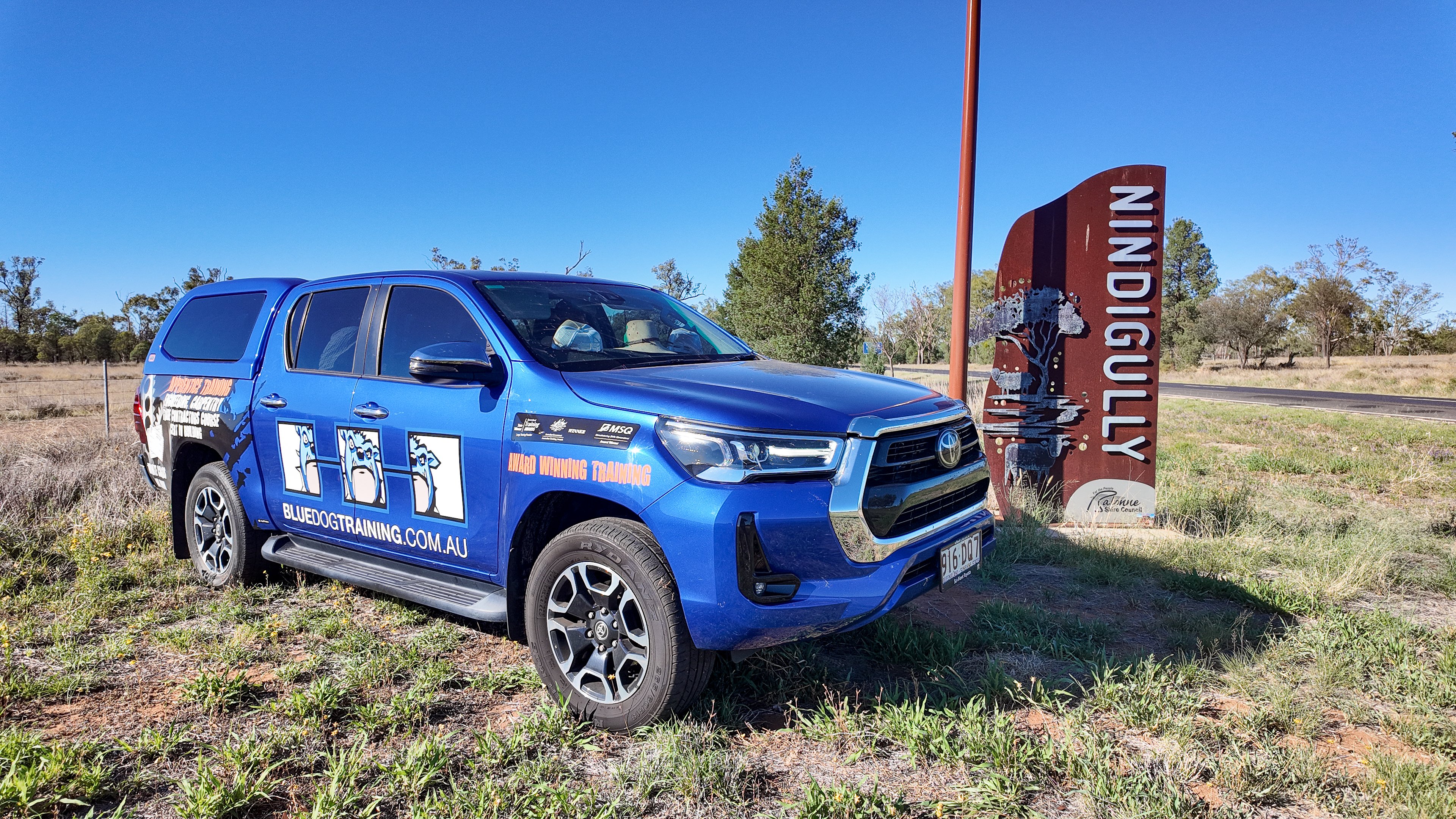 BLUE DOG TRAINING PIG RACING 